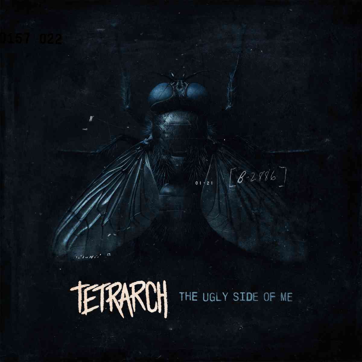 cover artwork tetrarch the ugly side of me